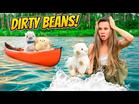 My CRAZY Llamas Had An EMERGENCY BATH!