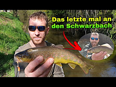 Der letzte Film über den Schwarzbach