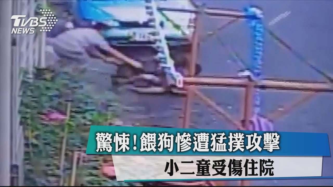 驚悚!餵狗慘遭猛撲攻擊 小二童受傷住院