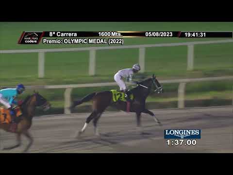 230805 c08 LEOPARD KING