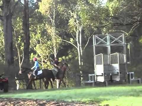 Casino Prince/Heart of Gold and Road to Rock/Something Special