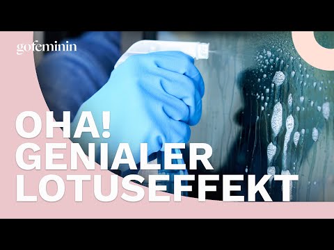 Genialer Lotuseffekt: Deshalb solltest du deine Dusche mit Klarspüler reinigen
