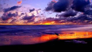Santiago Nino - Believe (Max Graham's Sidechained Remix)