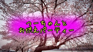 【座敷童子ンち】“どうぞ”大勢で楽しく豪華パーティー【まるで世にも奇妙な物語】ユーチューバー、幽霊、パワースポット、オカルト、ホラー、怪談、物語、スピリチュアル、座敷わらし、パワースポット