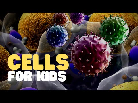 Cells for Kids | Learn about cell structure and function in this engaging and fun intro to cells