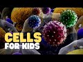 Cells For Kids Learn About Cell Structure And Function In This Engaging And Fun Intro To Cells
