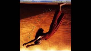 Caetano Veloso - Terra