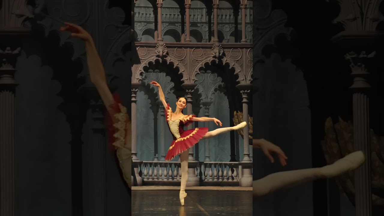 Promotional video thumbnail 1 for Anischenko Ballet