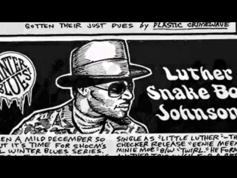 Luther 'Georgia Snake Boy' Johnson  ~ Tribute ( Modern Electric Chicago Blues )
