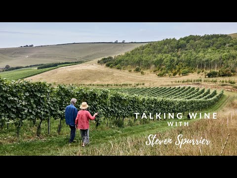 Talking Wine with Steven Spurrier – Bride Valley Vineyard