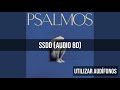 SSDD (Audio 8D) - José Madero