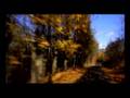 Doug Wimbish / Cinemasonics / Swirl
