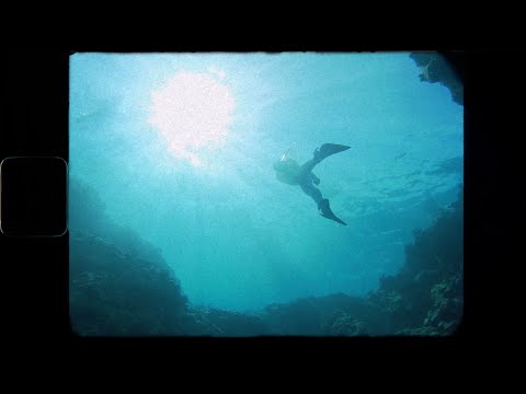 Surfer Girl - Little Green Eyes (Official Visualizer)