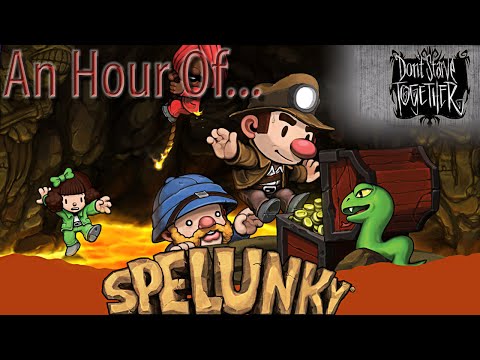 An hour of... Don't Starve Together / Spelunky