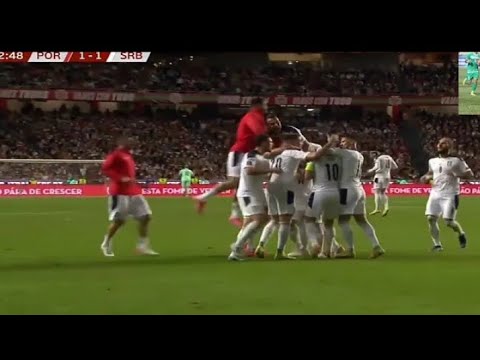 Dusan Tadic goal vs Portugal | Portugal vs Serbia | 1-2 |