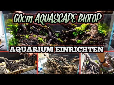 60cm AQUASCAPE - BIOTOP Aquarium einrichten | SaschaHoyerAquaArtist