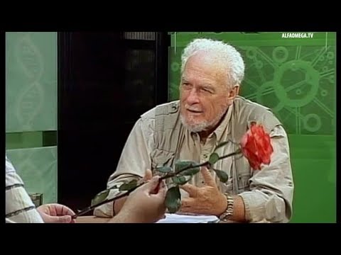 Verdictul stiintei: Creatie 9.2 - Trandafirul si spinii