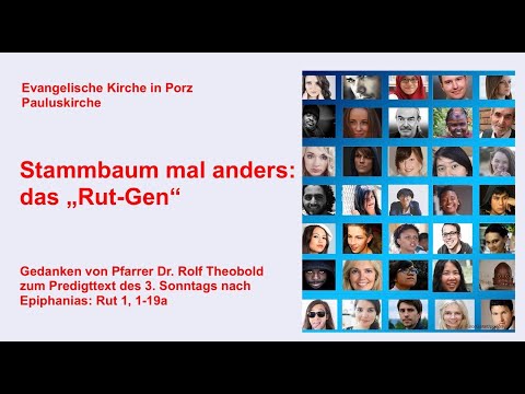 Stammbaum mal anders: das "Rut-Gen"