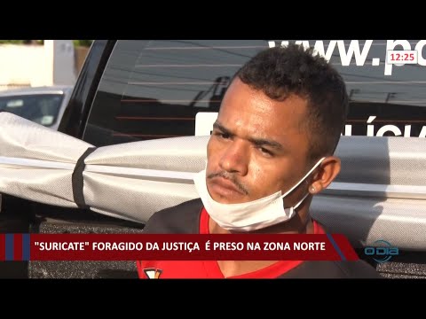 "Suricate" foragido da justiça eÌ preso na zona norte 01 10 2021