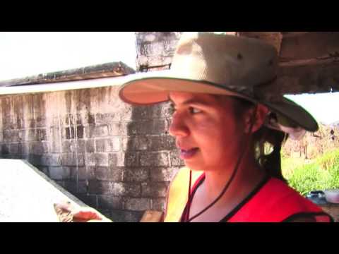 La Restauración de Isla Isabel
