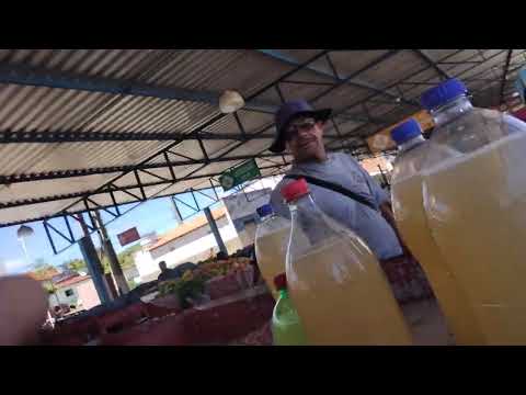 FEIRA DE SANTA INÊS BAHIA #feira #santainês #bahia #turismo #cultura #entretenimento #humor #agro 