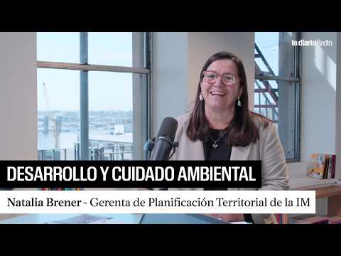 Montevideo 2050: Ciudad Vieja, Bañados de Carrasco y otros desafíos de la planificación territorial