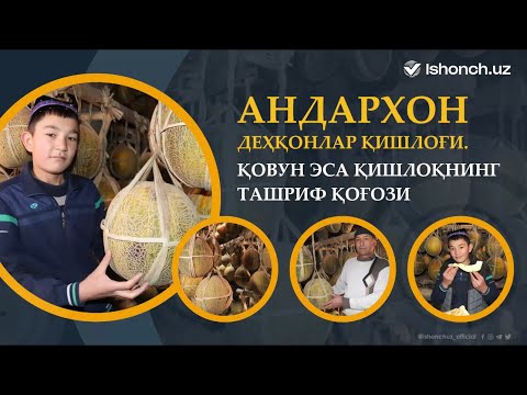 Андархоннинг тилёрар қовунлари