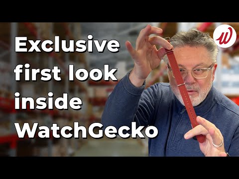 WatchGecko - What REALLY happens behind the scenes?