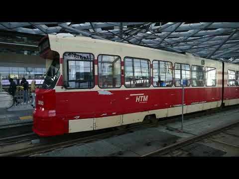 Trams of The Hague  Trams van Den Haag
