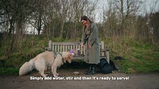 Why Pure Pet Food is Prefect when Traveling?