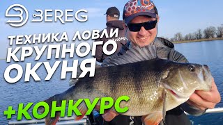 Рыбалка на крупного окуня в апреле 2020