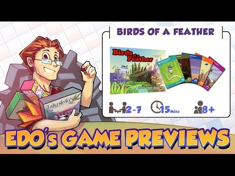 Edo's Birds of a Feather Card Game Review (KS Preview)