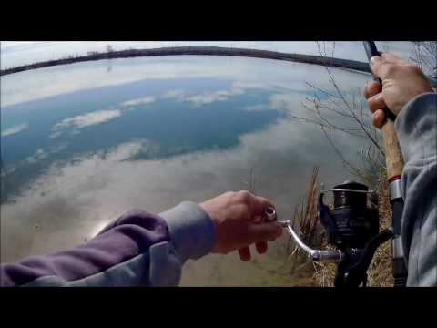 Korai pontyok jéghideg vízből