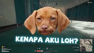 Download lagu MILYHYA PUBG MOBILE FUNNY MOMENTS 100% KEBODOHAN YANG HQQ mp3