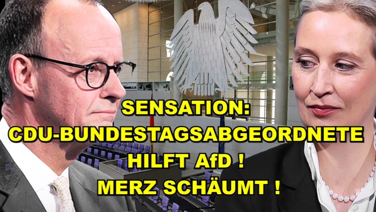 CDU-Abgeordnete HILFT AfD! Merz SCHÄUMT!