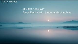 【深い眠りのためのBGM】 1時間 | 睡眠導入・ヒーリング・リラックス ambient sleep music