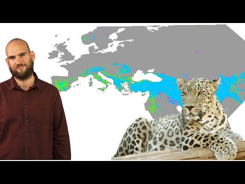 I Leopardi starebbero bene in Italia