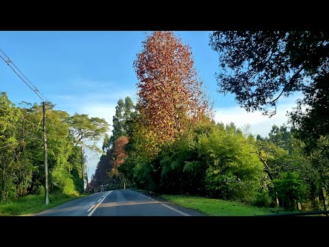 🌄Explorando o interior: Roteiro lindo entre Dois Irmãos, e Presidente Lucena./Rural Brazil Road 🌾🌿