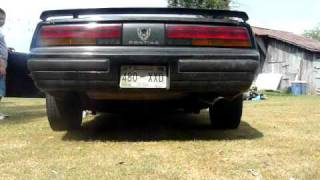 1986 firebird 350, straight pipes and 270h comp cam
