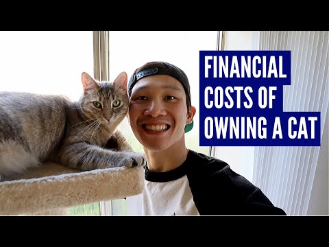 Financial Costs of Owning A Cat + Taking My Cats On Their Daily Walk
