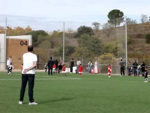 corto la floresta - mont-roig