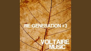 Good Bye, Danke (Chat Noir Remix)
