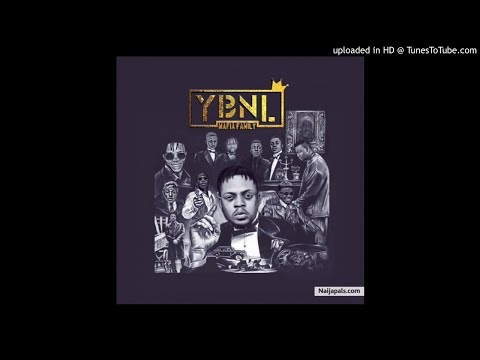 Macaroni - YBNL Mafia Family ft. Picazo x Olamide