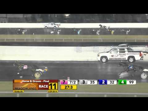 Horse and Groom Final - Hldontghttoyurdrms - March 29, 2014