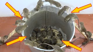 Download lagu Perangkap Tikus Sekam Padi Terbaik / Hemat Waktu dan Sangat Efektif | Mouse Channel 2020 mp3