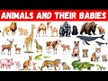 Animals And Their Babies Animals Babies Animals And Their Young Ones Baby Animals Animal Baby