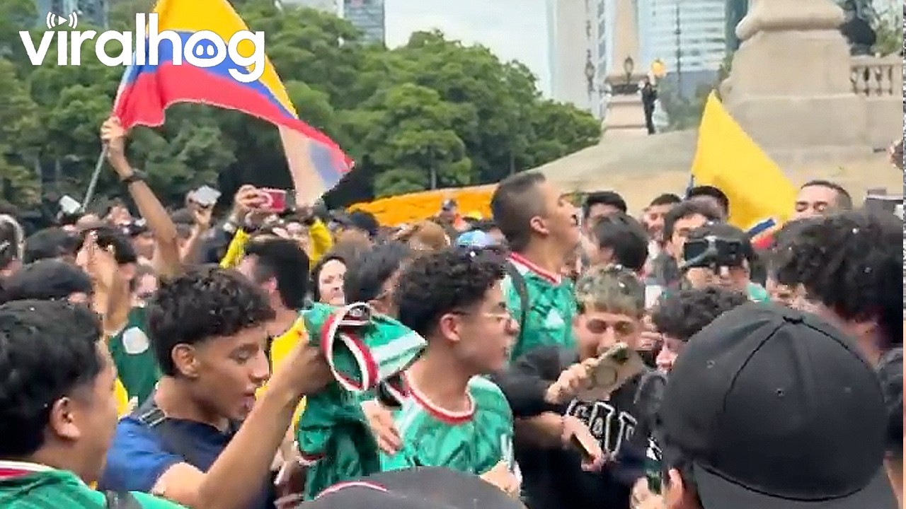 Soccer Fans Lift Young Fan in Wheelchair at Mexico City World Cup Celebrations || ViralHog