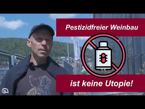 Delinat-Gründer Karl Schefer im Interview: Wie gefährlich sind Pestizide in der Landwirtschaft?