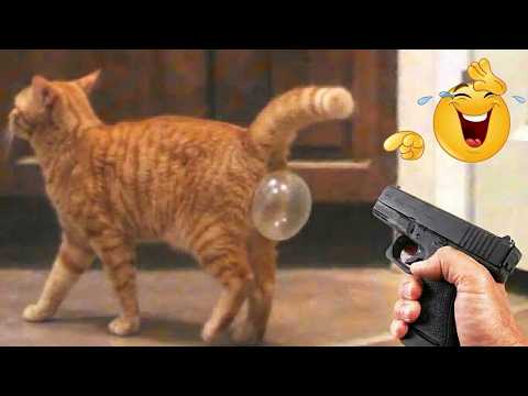 Funniest Cats & Dogs Ever 😂🐱🐶 Ultimate Animal Compilation 2026