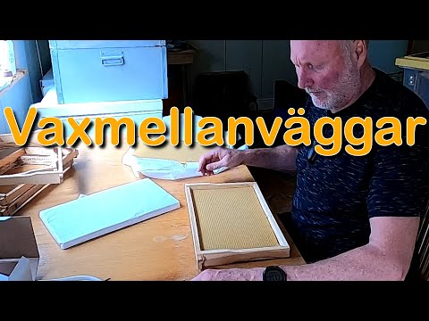 Sätta i vaxmellanväggar i honungsramar (LågNormala)